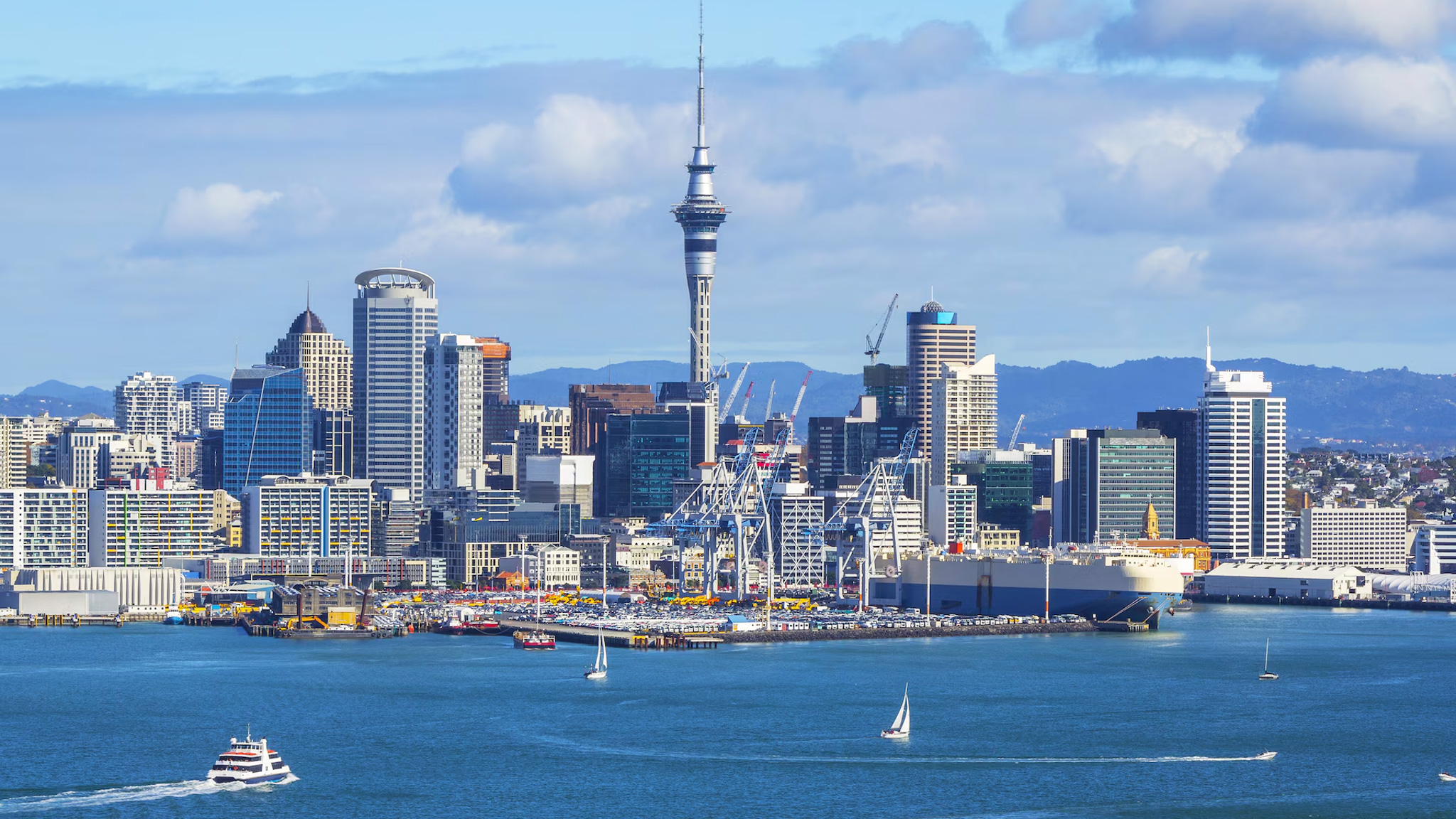 How Much Can Your Auckland Property Earn on Airbnb?
